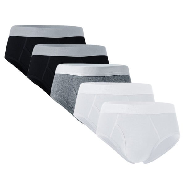 ba9a4d0a dfb3 4bb1 a140 7968830ff6a7.jpg